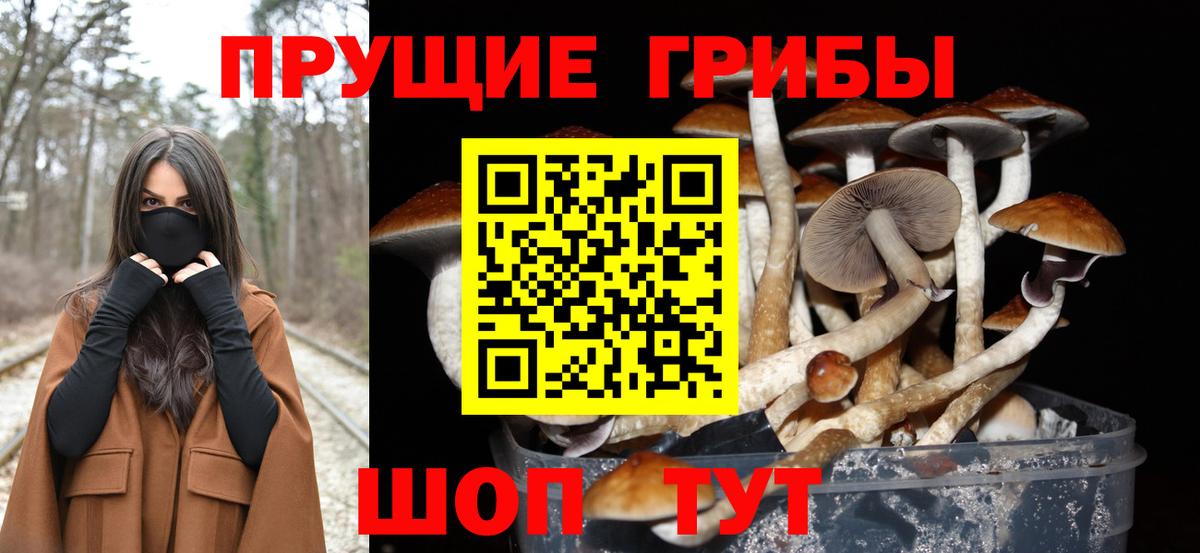 Иркутск  Галлюциногенные грибы прущие грибы  Псилоцибиновые грибы мухоморы  Вход с VPN 